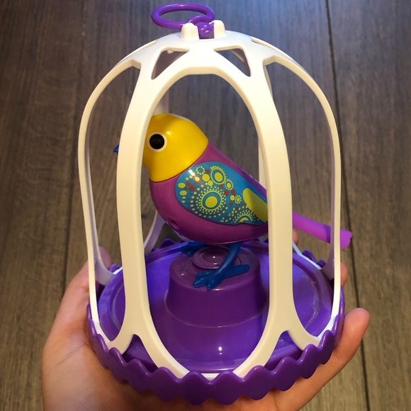 Little Live Pets bird with cage